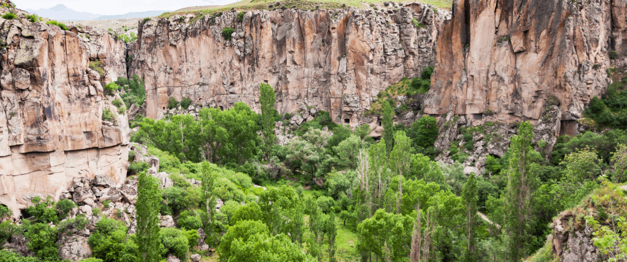 охота в Анталии