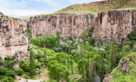 охота в Анталии