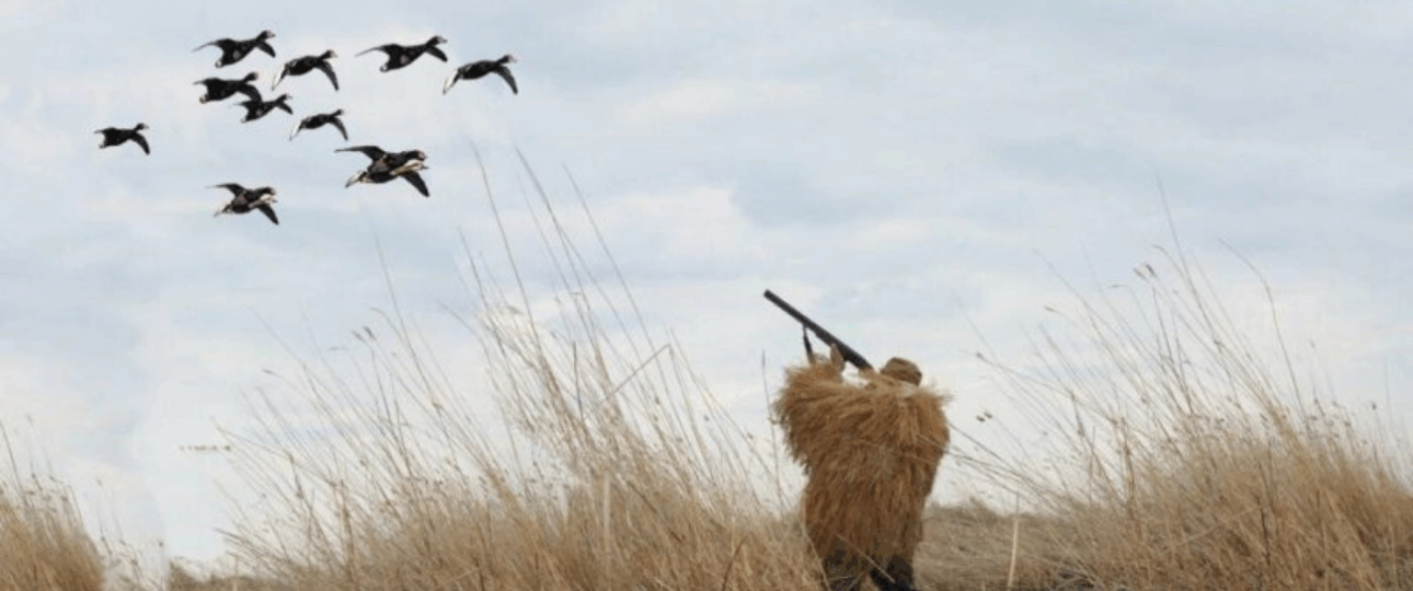 аренда оружия для охоты