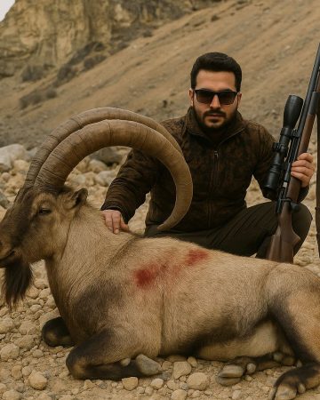 Bezoar Goat Hunting