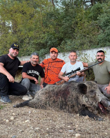 Wild Boar Hunting